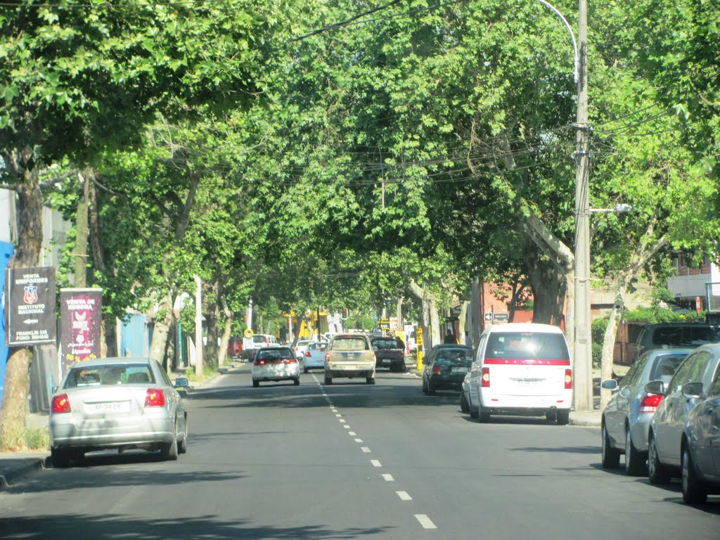 Avenida Franklin by Luis Cesar