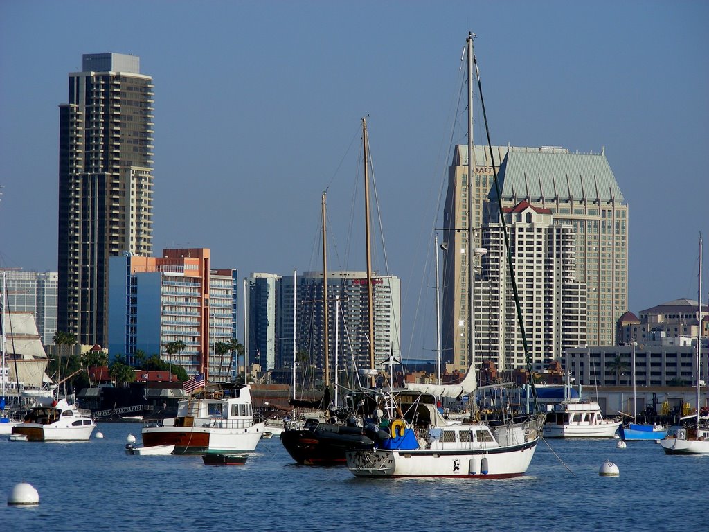 Tall, taller, tallest.... Hotels and Condos from Harbor Drive by NadoHeinz