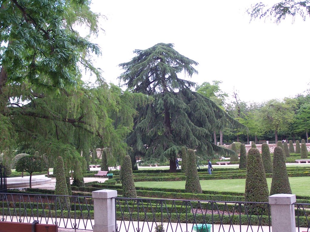 Jerónimos, Madrid, Spain by Joaquin Alejandre