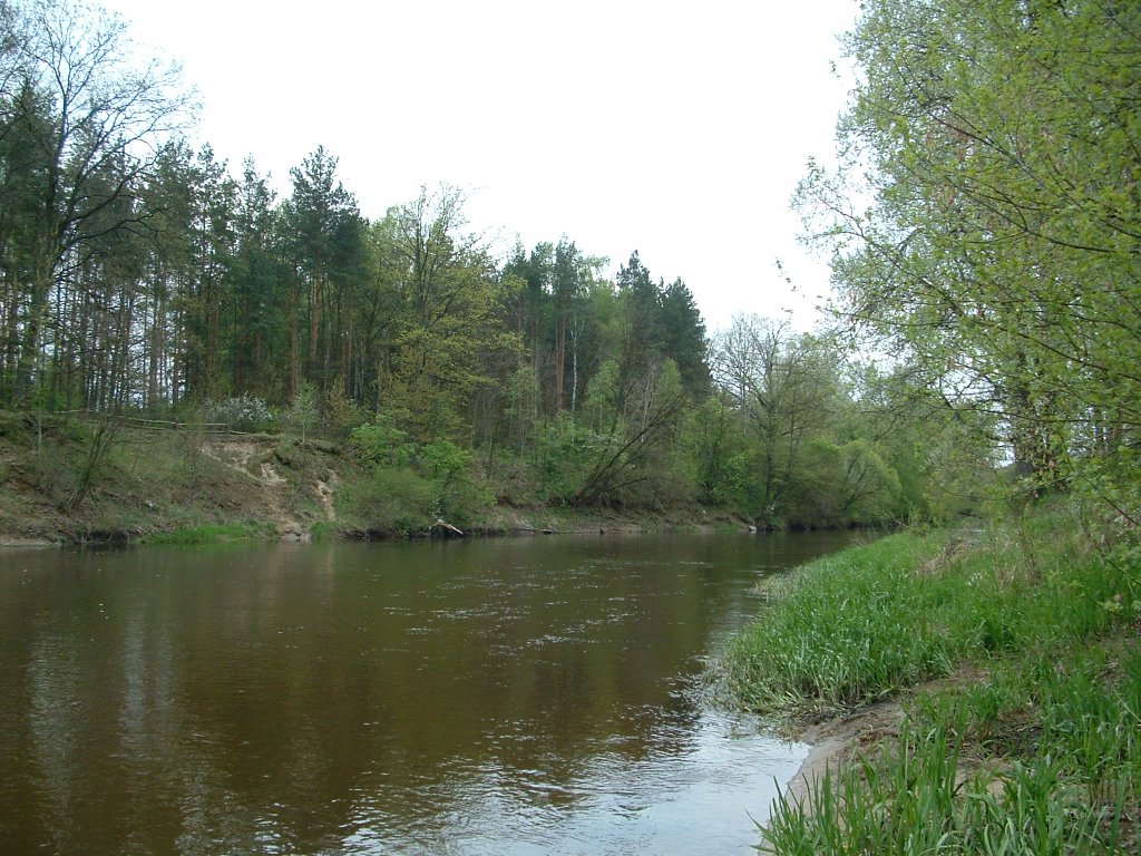 Nad Wkrą ,okolica Kosewka by Sławiński