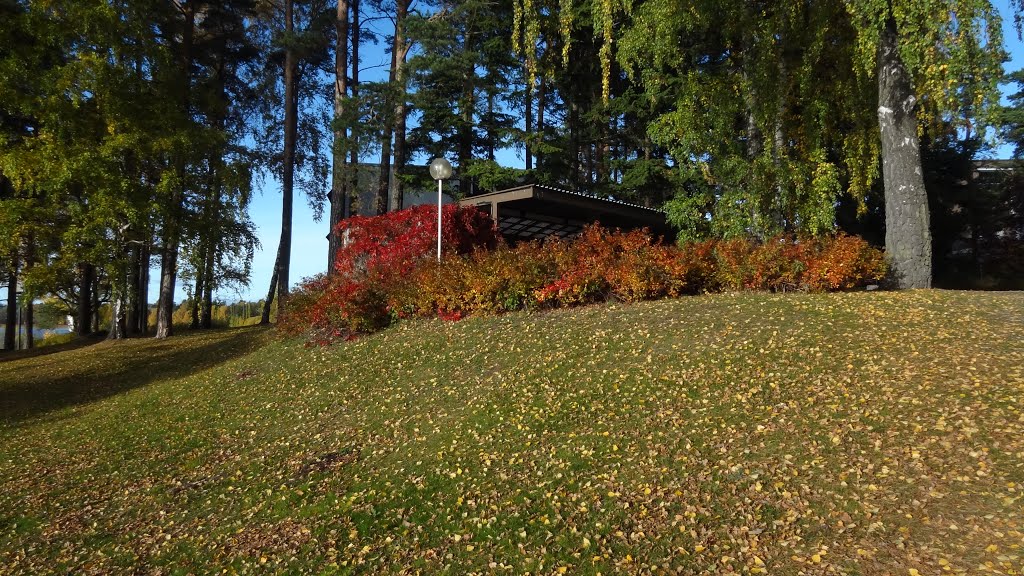 Pavilion at Leaf Carpet by denisbaranoff