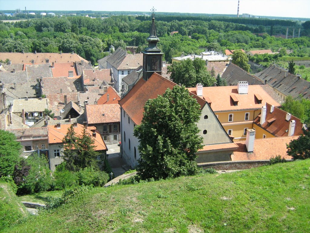 Pogled na pertovaradin by Svetislav Trifunov