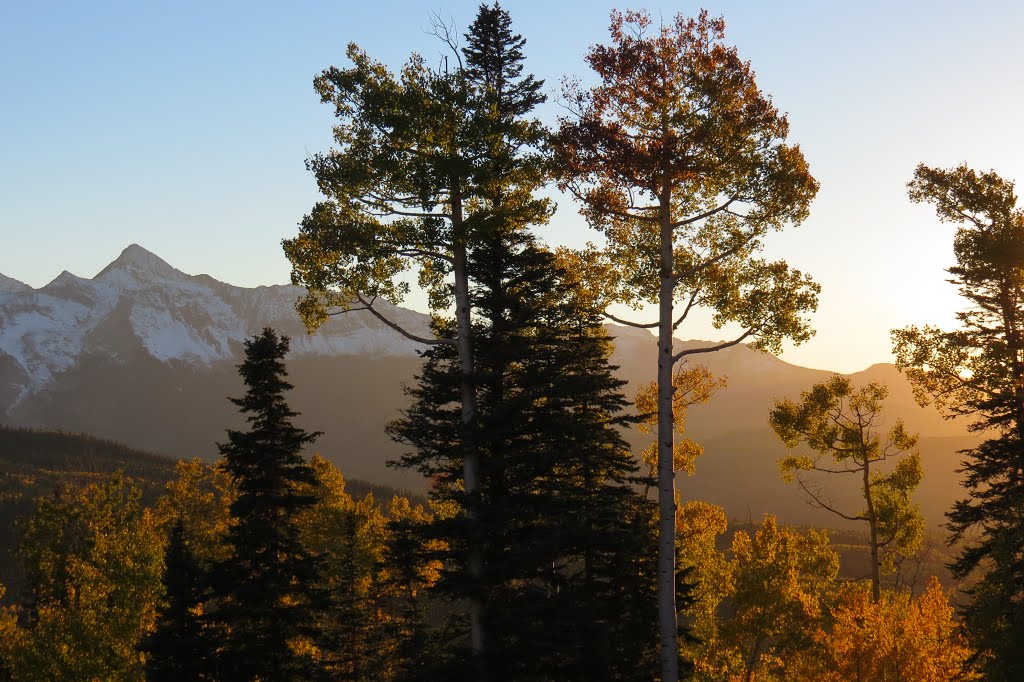 Sunset on Tall Pines overlooking Mount Wilson, SW Colorado by phil h