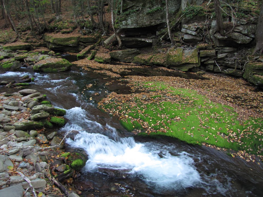 Rondout Creek Waterfall (~3') by Chris Sanfino