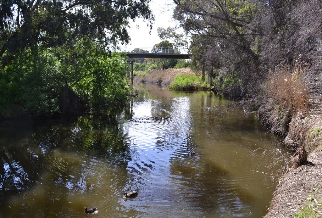 Looking back east to the footbridge by Phaedrus Fleurieu