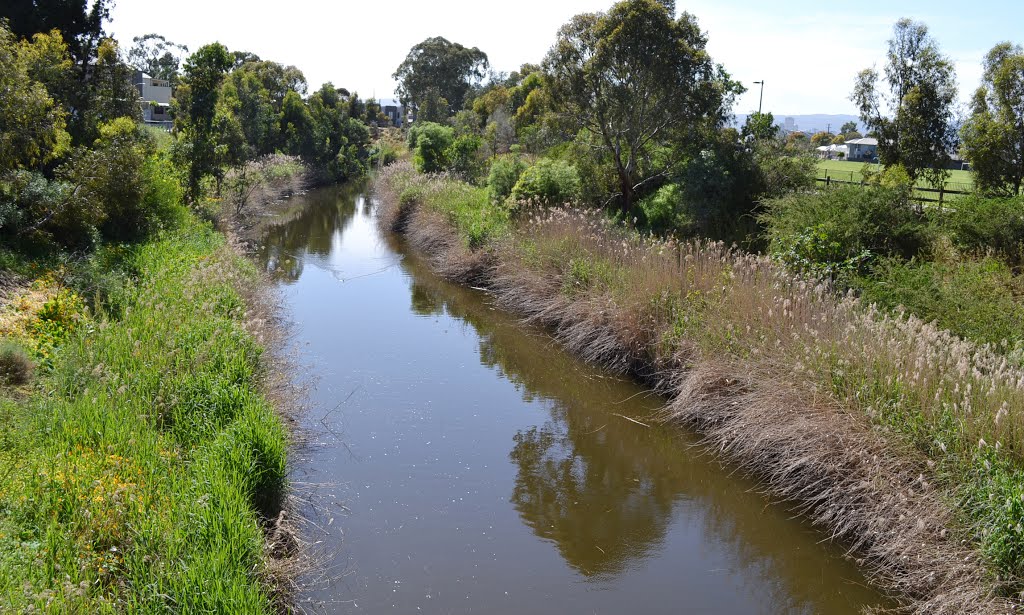 The river, looking east by Phaedrus Fleurieu