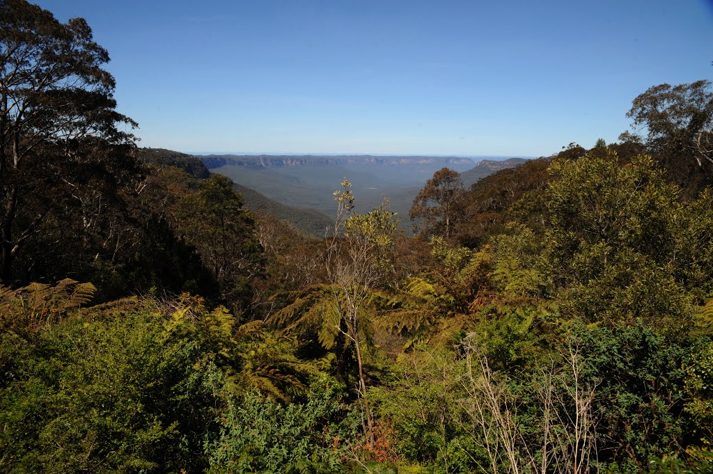 The Three Sisters, Blue mountains, Australie by Dominique Salé