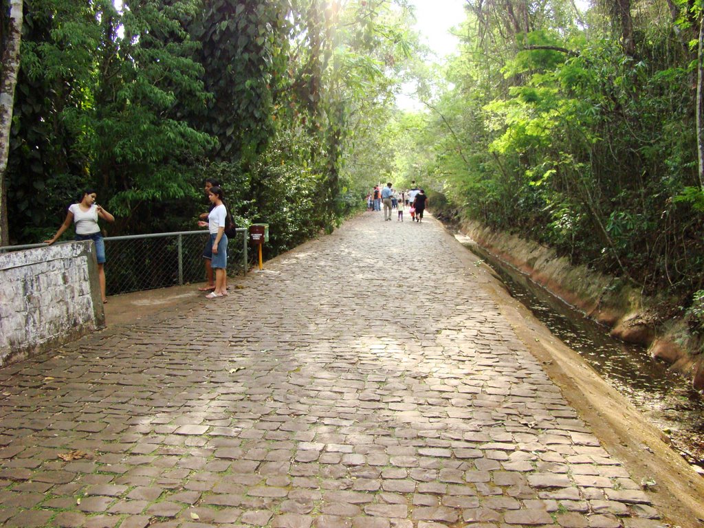 Parque Res. Joao Piza, Londrina - PR, Brazil by Sílvio Roberto Alves