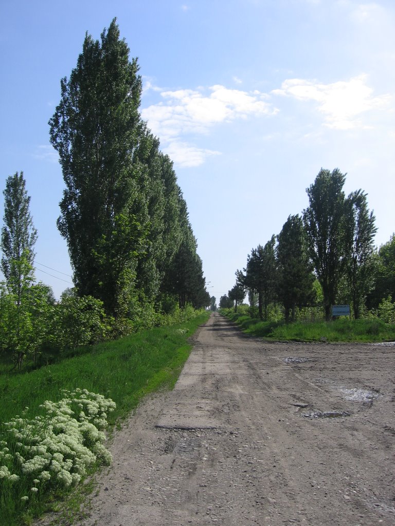 Ilandza - Economy, farm by © Dragan Cekic ™