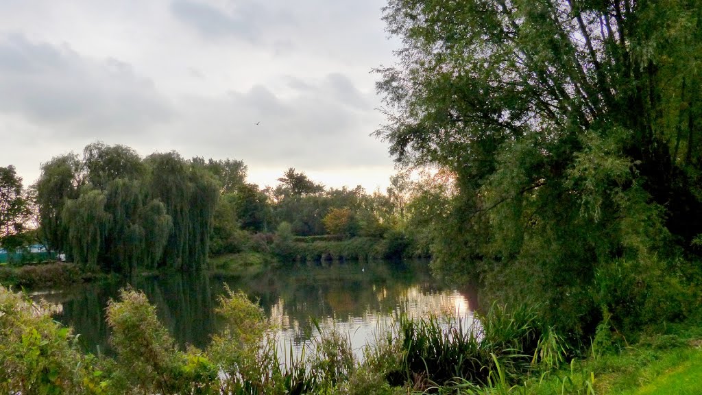 Villeneuve d'ascq - Lac des espagnols - reflets du soleil couchant by epaulard59