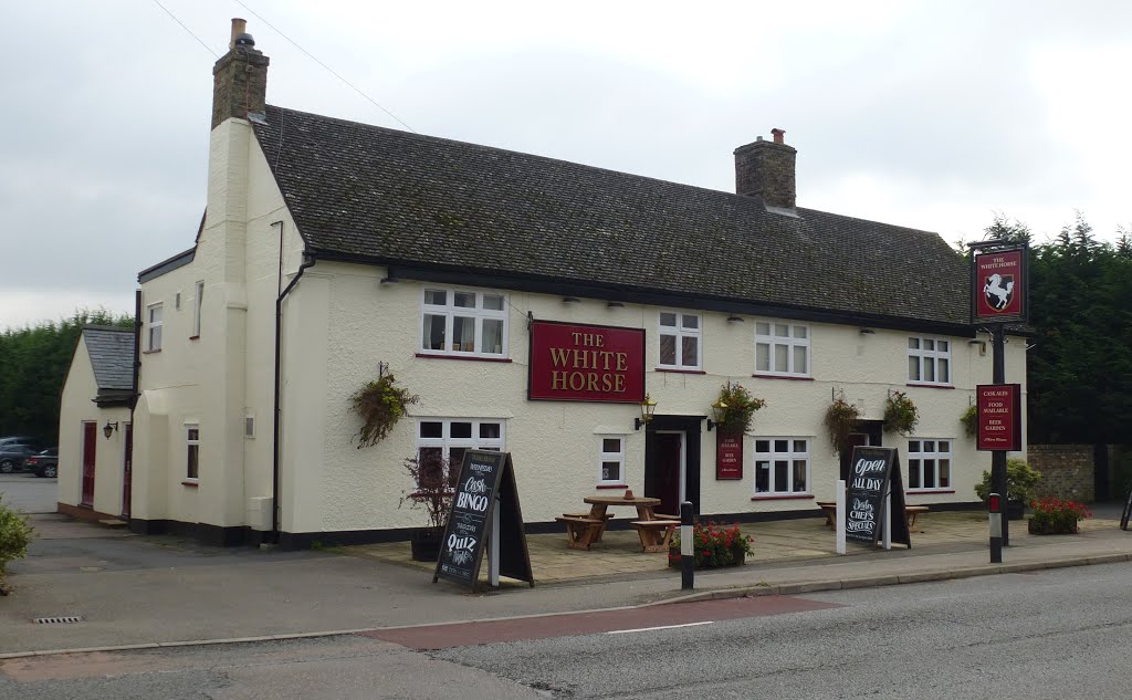 The white horse, milton, cambs. oct. 2013. by Michael & Grace.