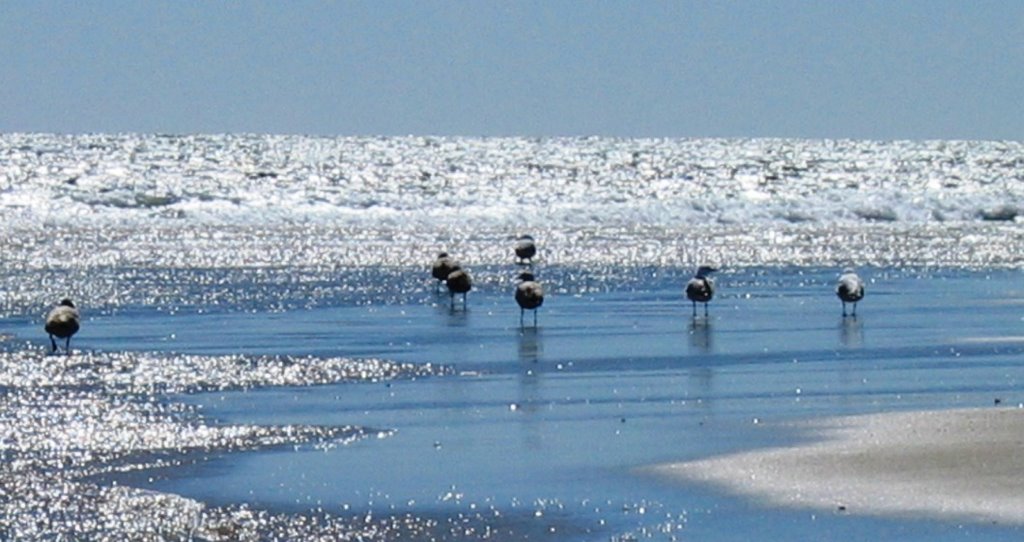 NJ Shore, sweet Spring Lake by febb