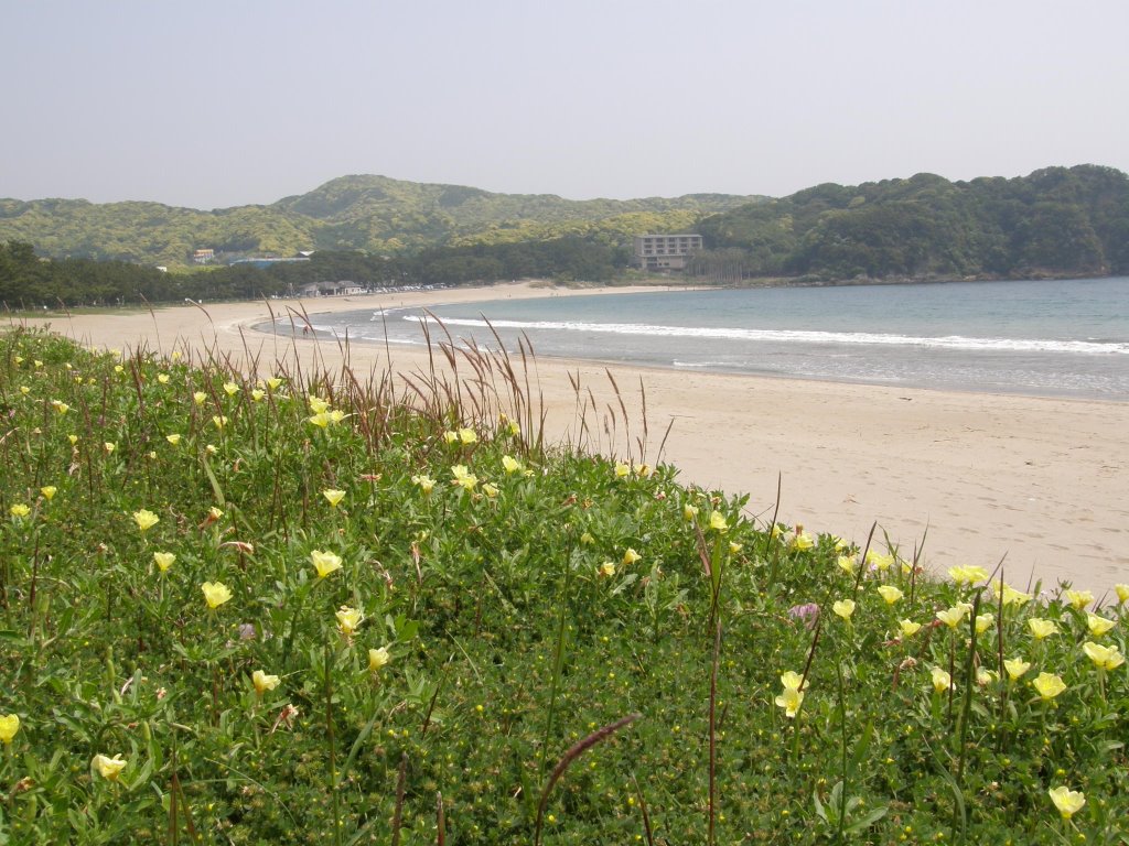 南伊豆町　弓ヶ浜海岸　minamiizu yumigahama beach by www.izurainbow.com