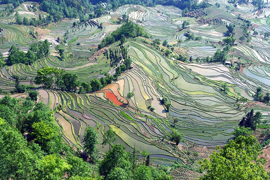 Mengpin, Yuanyang, Yunnan, China 元阳 勐品 老虎嘴 （1） by Len Gao