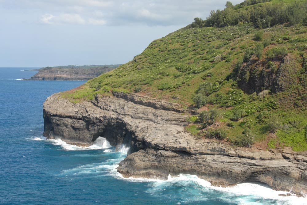 Nesting Boobys at Kilauea National Wildlife Refuge - 200804 by Larry Workman QIN