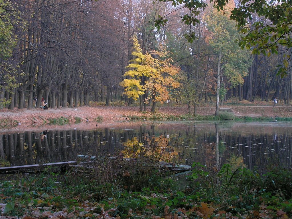 Осень в "узком" by dr.b