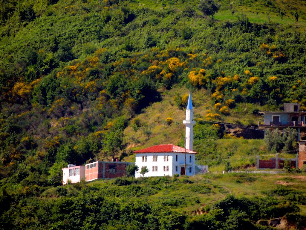 Albania: Jazthijas... by Sofjan Kotorri