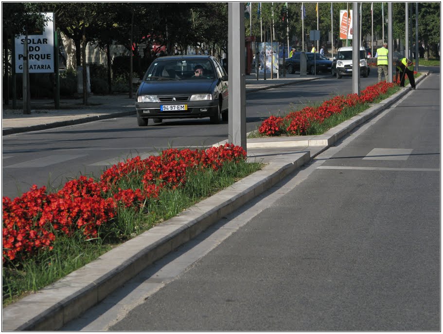 Avenida Dr. João Afonso Calado da Maiauy Belo by Barragon