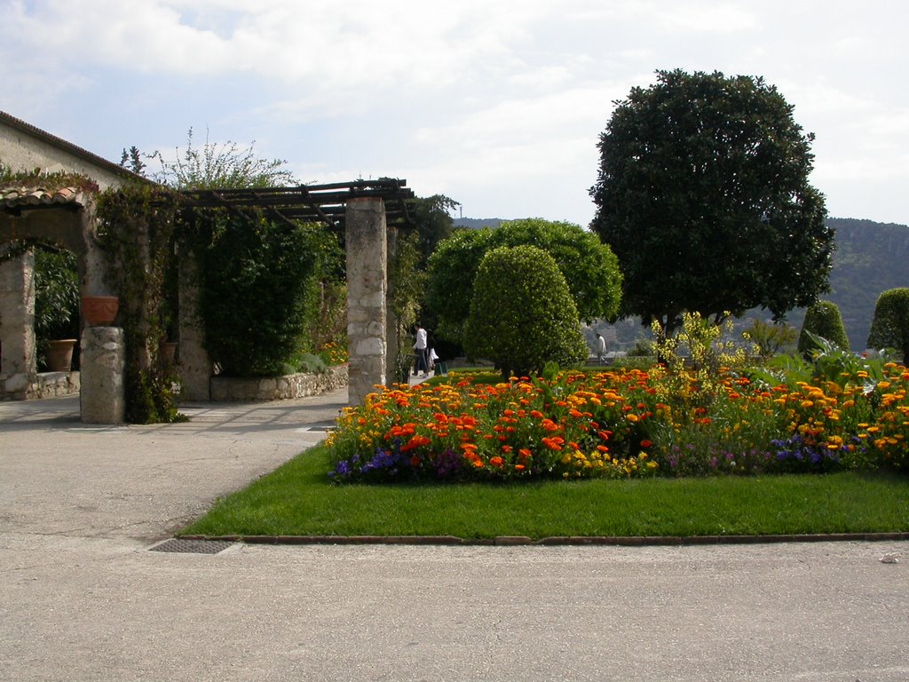 Il giardino fiorito by rnervi