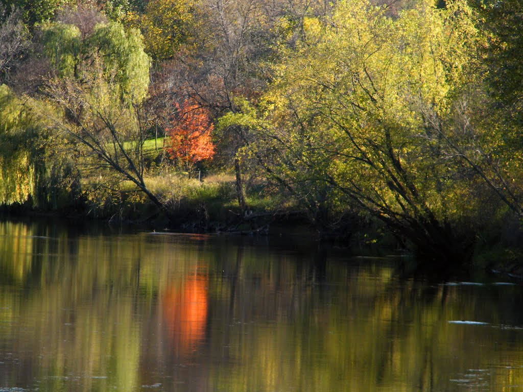 Orange, Rum River Central Regional Park, Ramsey, Minnesota by © Tom Cooper