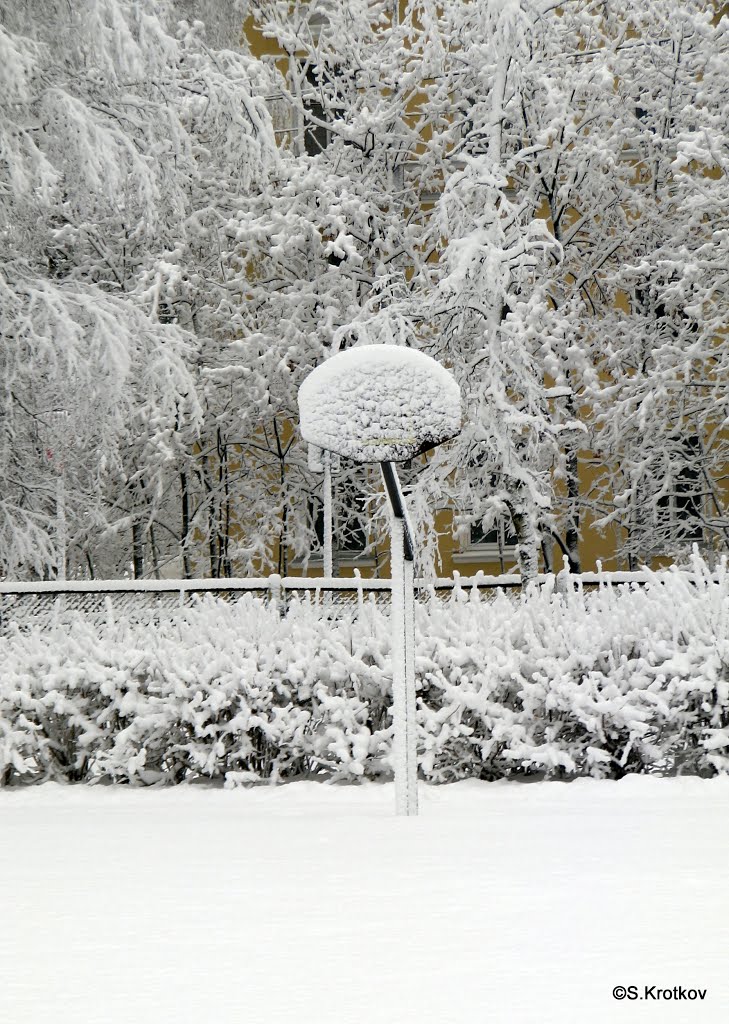 Зимний баскетбол./Winter basketball. by PEPS1959