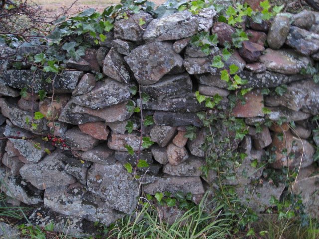 Brick Wall, Port Arthur by Susan Kelly