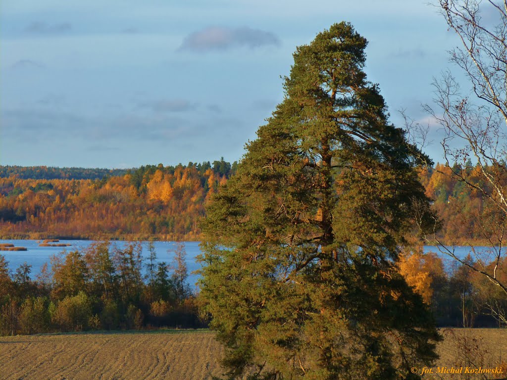 Matalajärvi by Michał Kozłowski.