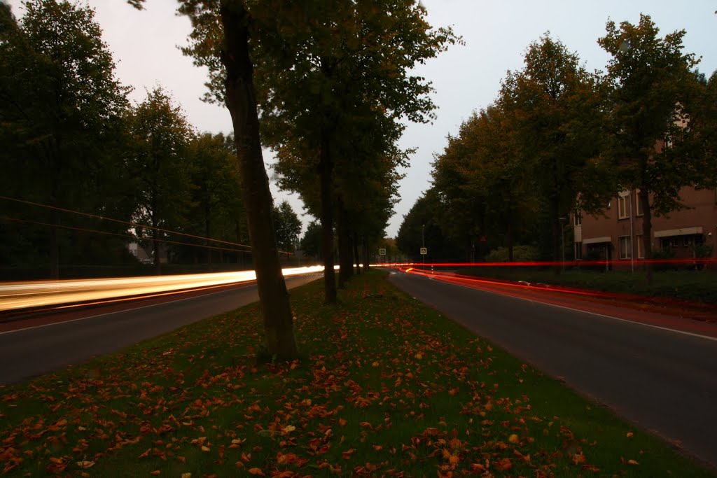 Laan van Keulen, Alkmaar by Sjoerd Veltman