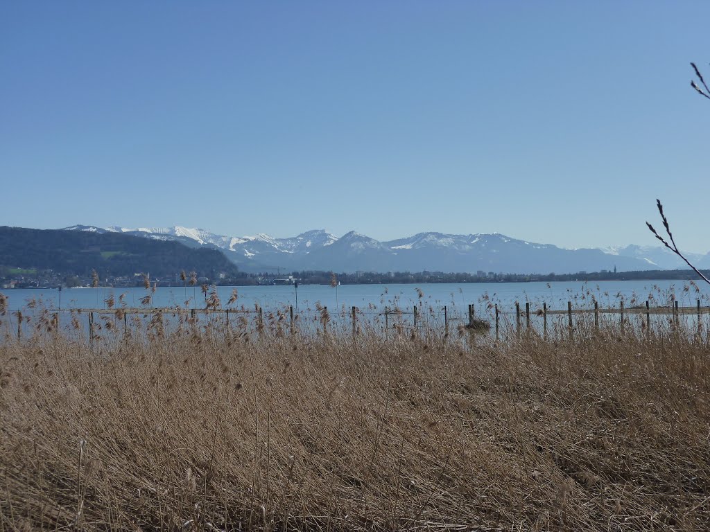 Blick auf den Bodensee und Altenrhein/ Schweiz by rolandvongilead