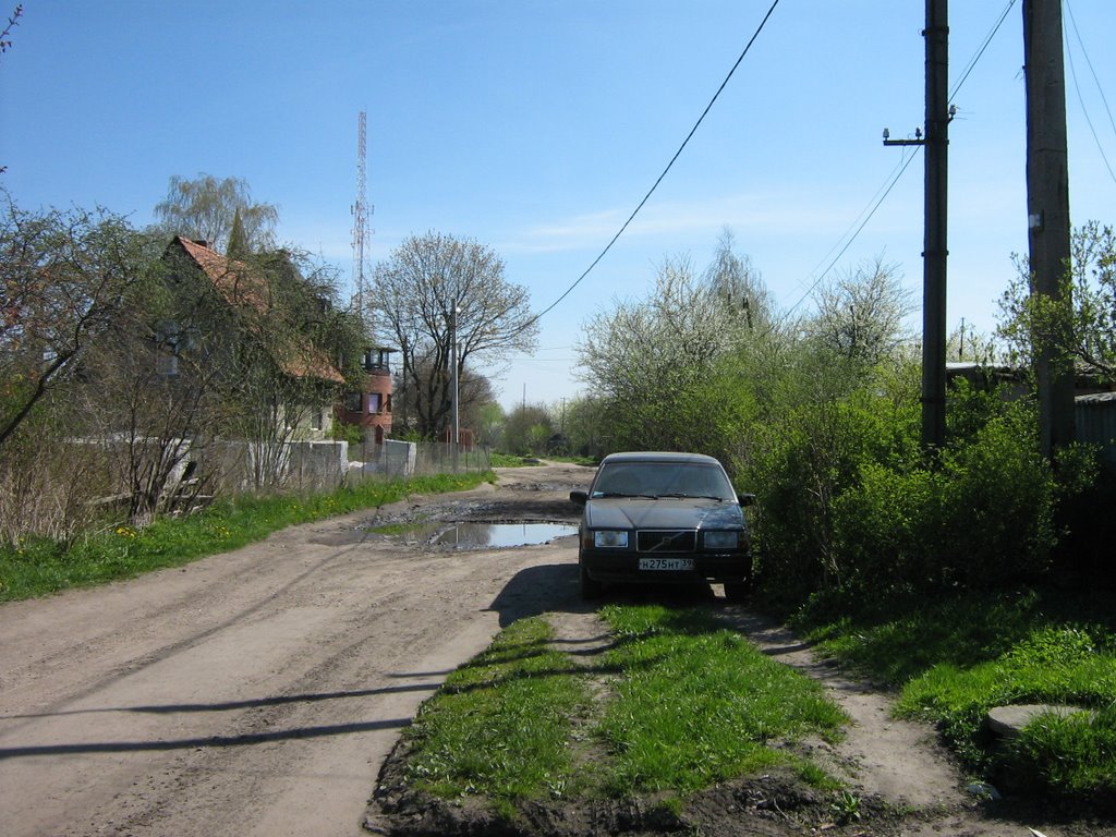 Kaliningrad_Bazhenova (Igan 2008) by Igor Andreyev (Igan)