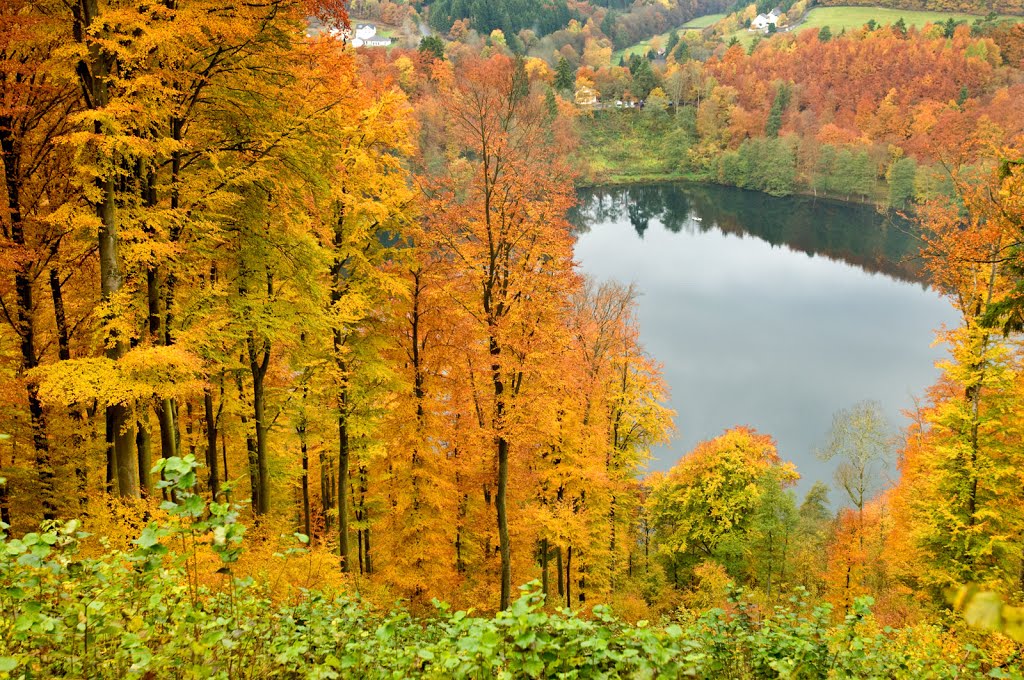 Gemündener Maar vom Dronketurm by GesundLand Vulkaneifel