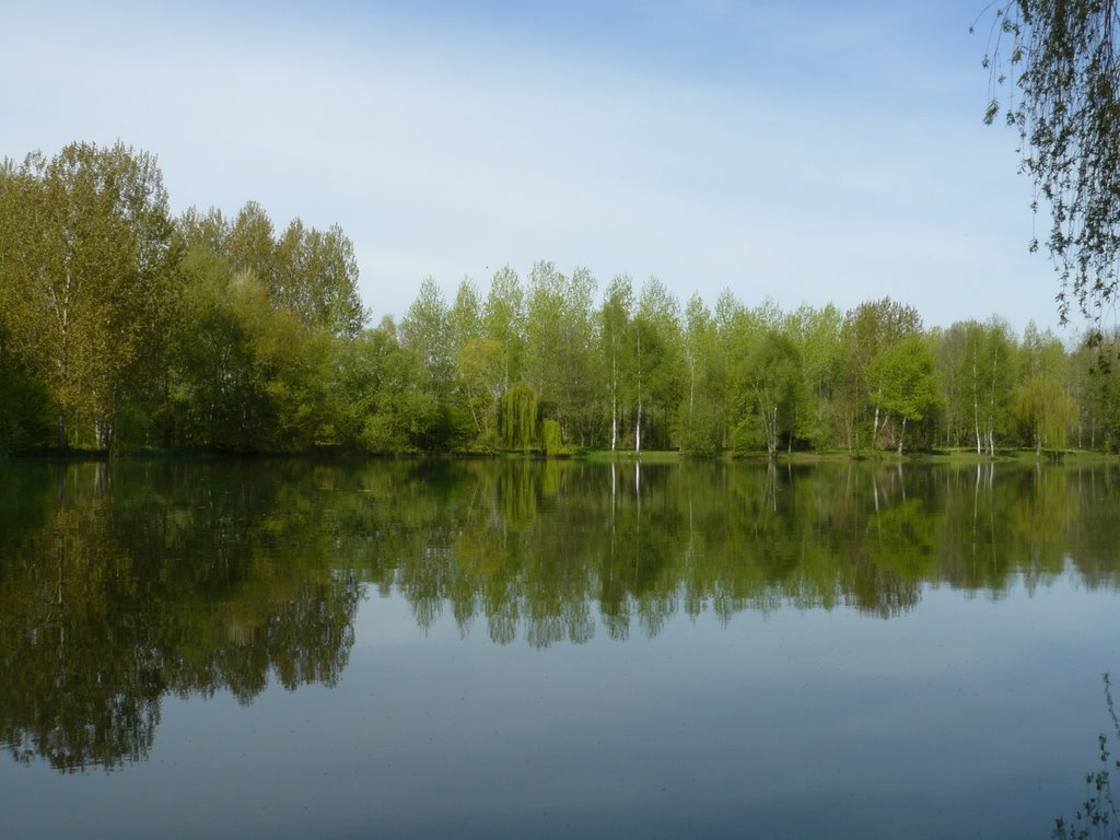 Etang à FONTENOY by sanglier76