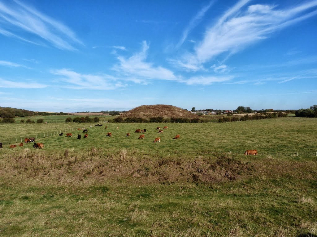 Skipsea Castle, Skipsea by Damon Stead