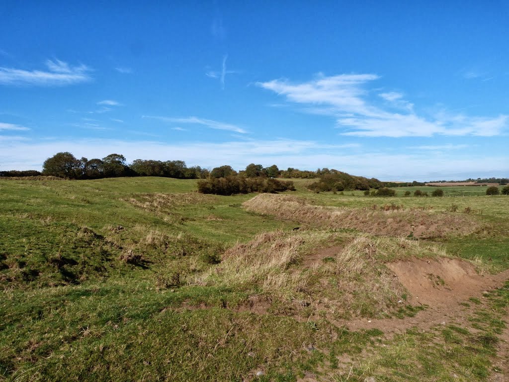 Skipsea Castle, Skipsea by Damon Stead