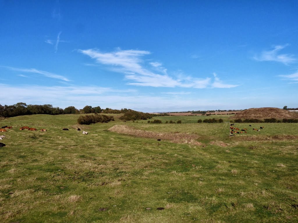 Skipsea Castle, Skipsea by Damon Stead