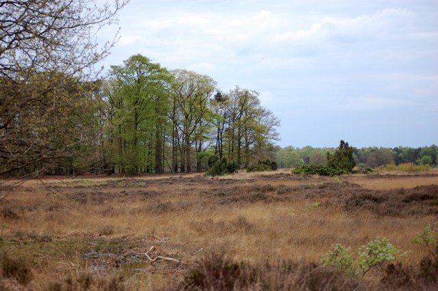 Buurser zand by Jan Lefers