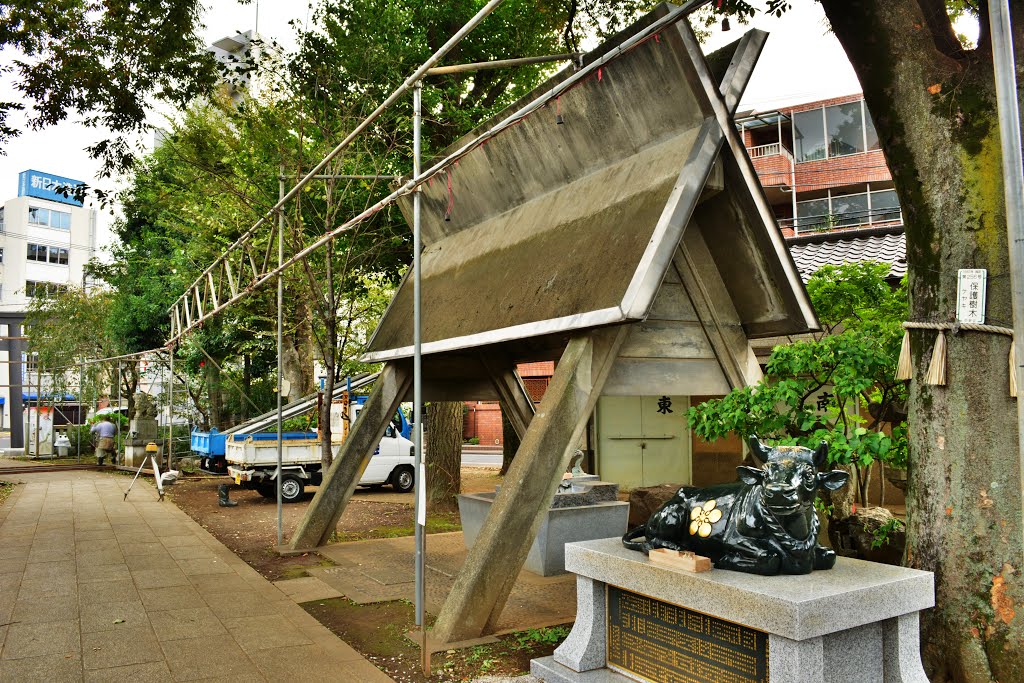 北野神社(新井天神)　撫で牛と手水舎　Kitano shinto shrine by nkmroioikkkz