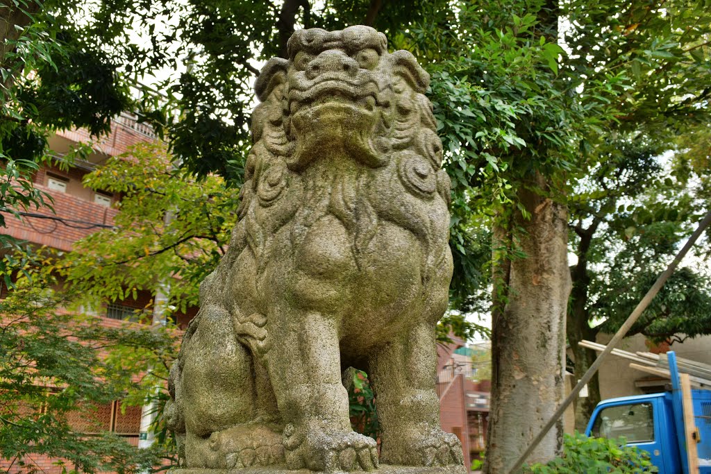 北野神社(新井天神)　狛犬　Kitano shinto shrine by nkmroioikkkz