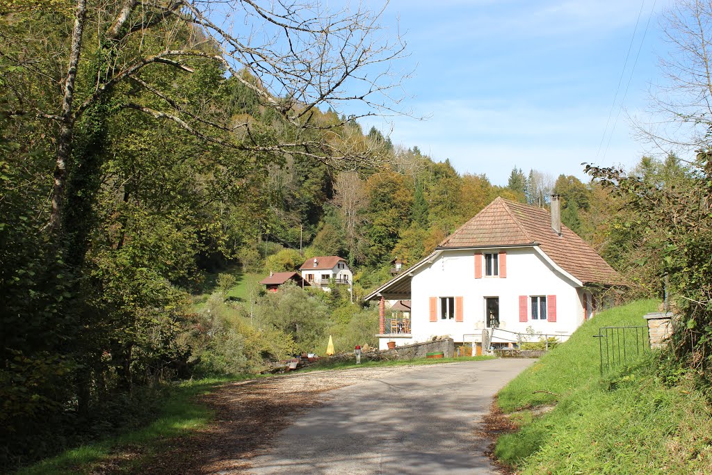 Rue du Vieux Pont ( CH ) by lefrise