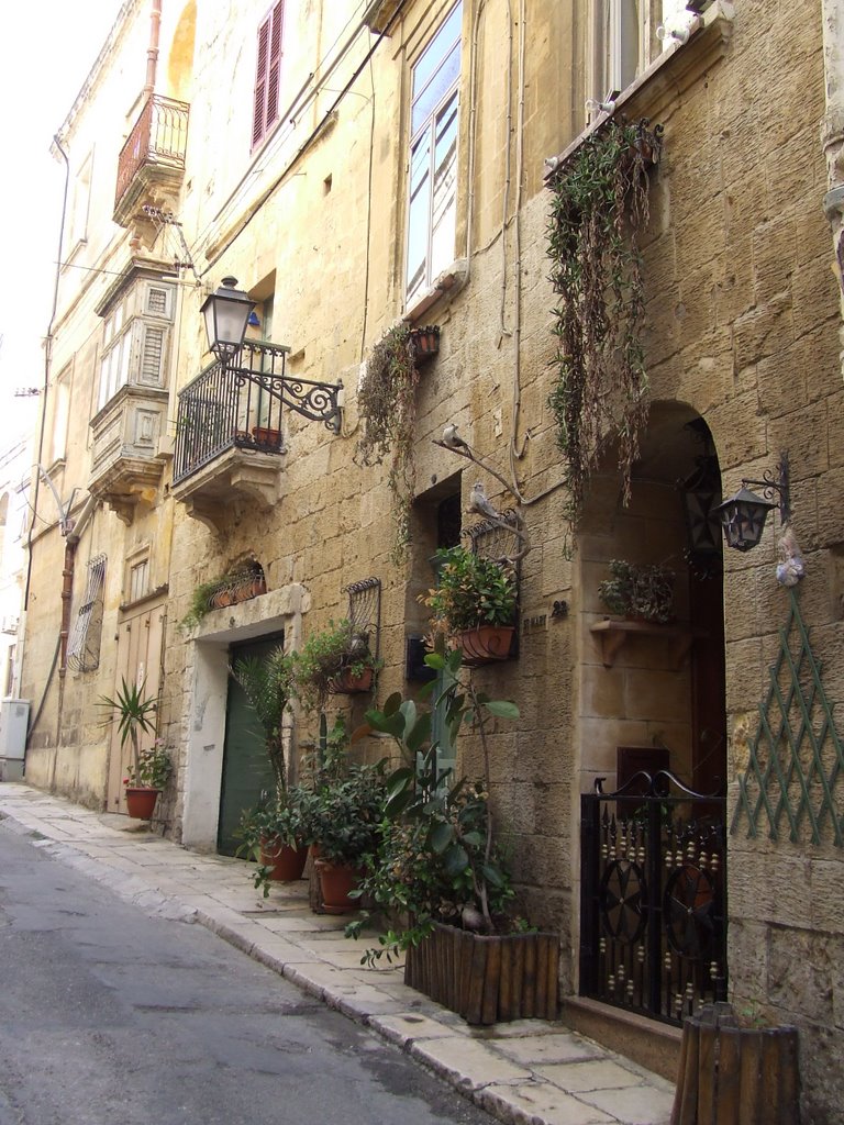 Triq l-Arcisqof Mikiel Gonzi, Il-Birgu, Malta by Adrian Vella