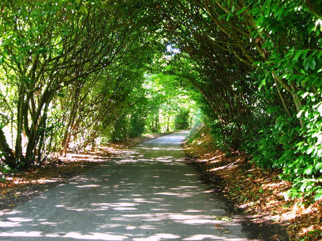 Church road, Peasmarch, Sussex by Jean Marc Gfp