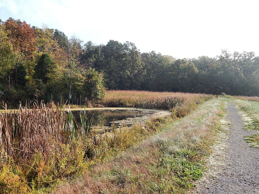 Baker Natural Area Trail by Woodland Trekker