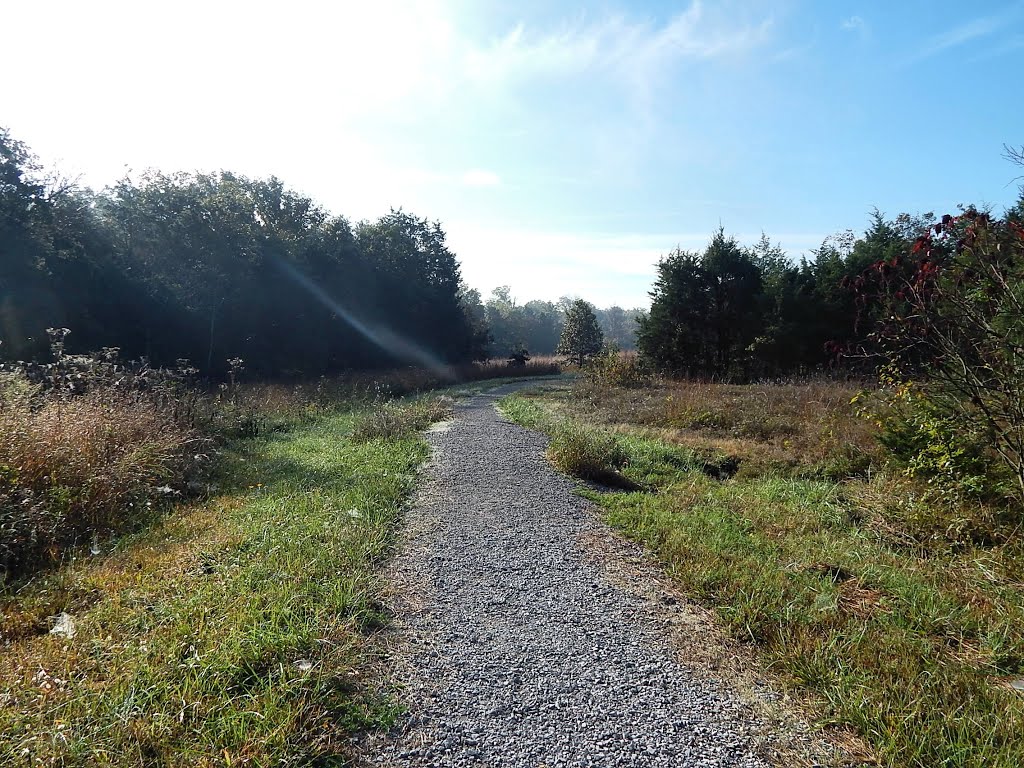 Baker Natural Area Trail by Woodland Trekker