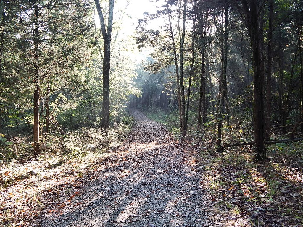 Baker Natural Area Trail by Woodland Trekker