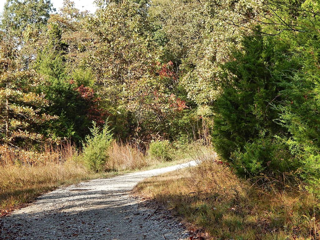 Baker Natural Area Trail by Woodland Trekker