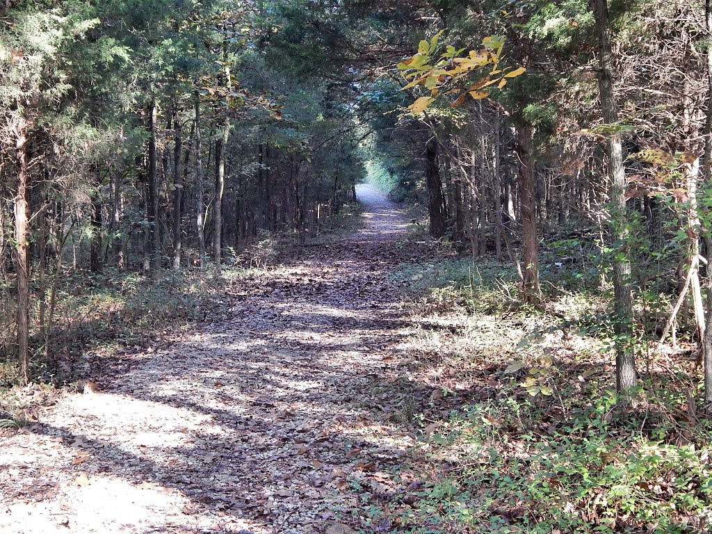 Baker Natural Area Trail by Woodland Trekker