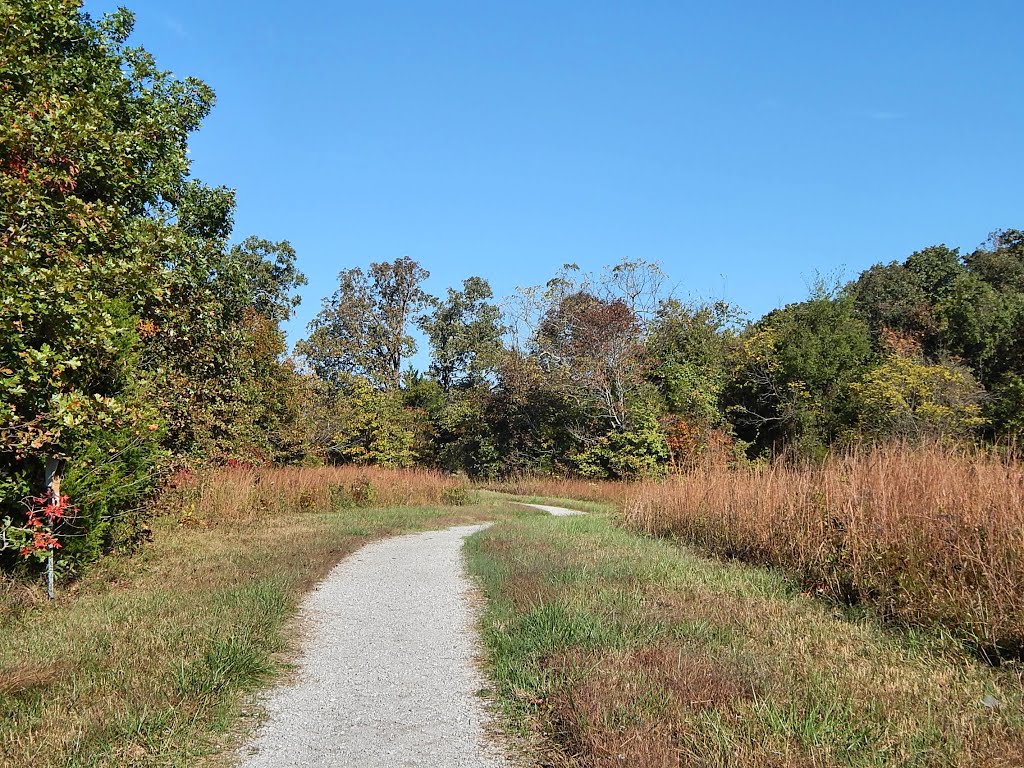 Baker Natural Area Trail by Woodland Trekker