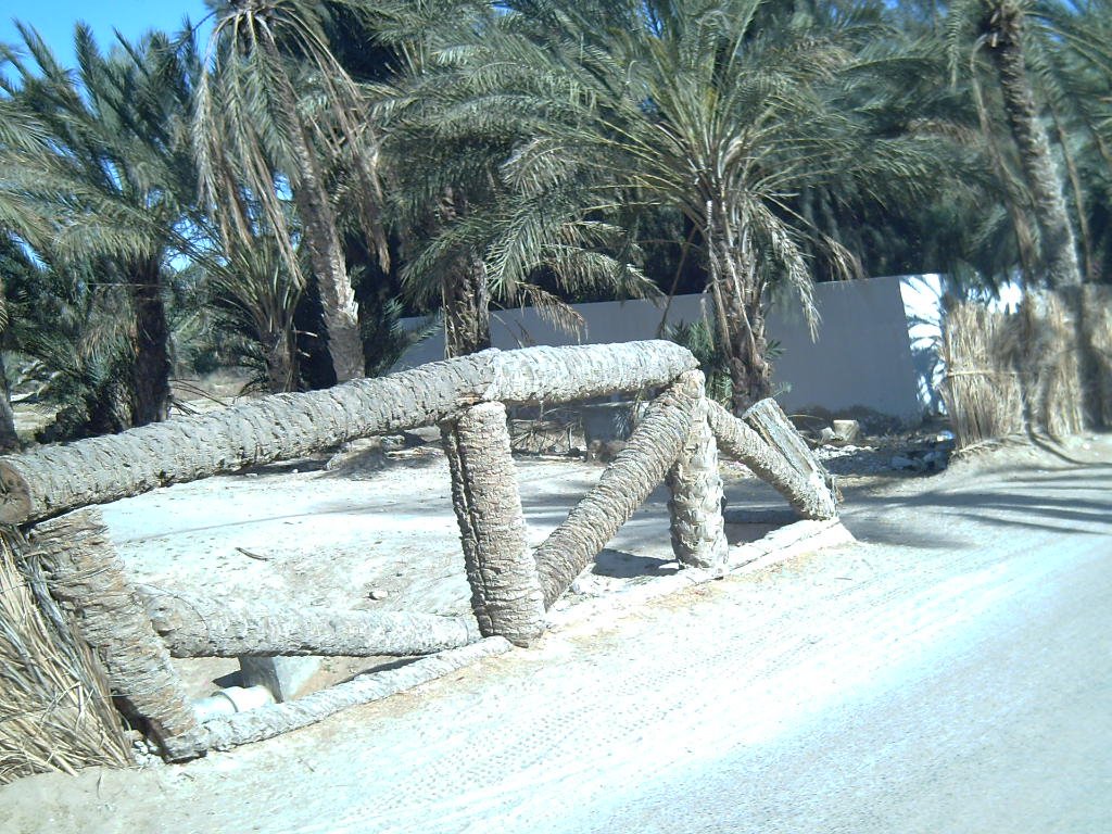 Tozeur - Paseo en calesa por el Palmeral by Jose Fernández GH