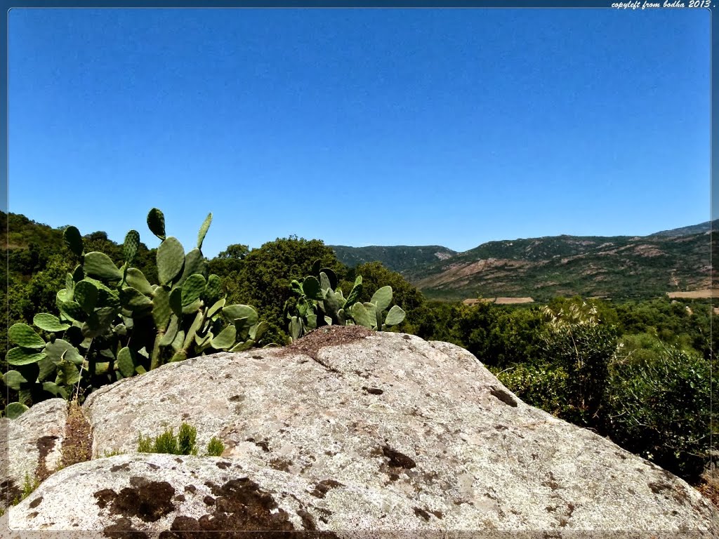 Corse-Pianottoli-Caldarello-vue de la campagne-2-juillet-2013 by bodha