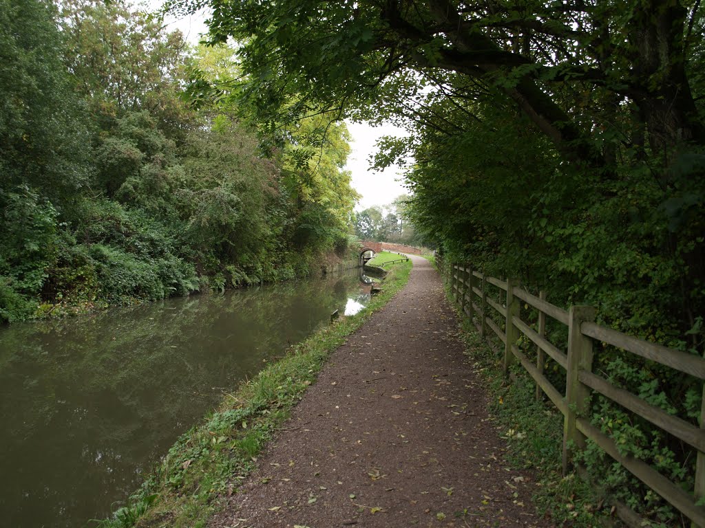 Chesterfield Canal by The Cats Place